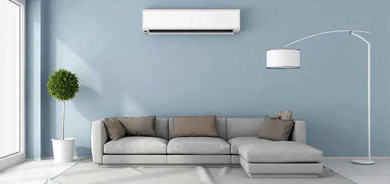 Livingroom Cleaning Services